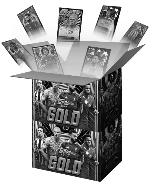 27 i 28 PL gold x2.png