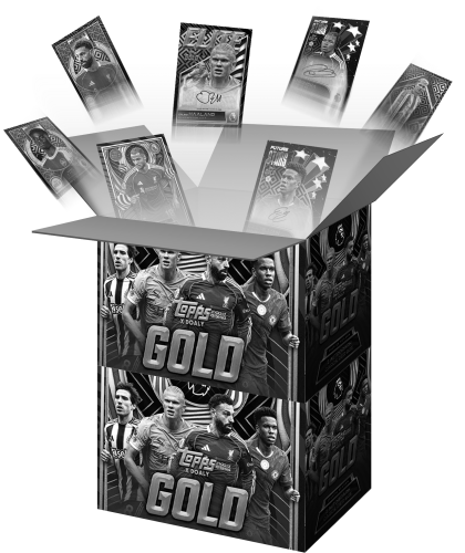 27 i 28 PL gold x2.png