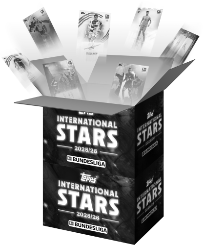 bundes stars x2 bw.png